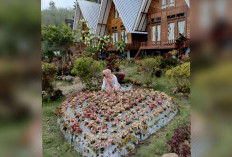 5 Spot Foto Instagramable di Grand Paradise Pagaralam yang Hadirkan Nuansa Alam Indah dan Sejuk