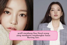 Profil Mendiang Goo Hara! Orang yang Membantu Membongkar Skandal Kasus Burning Sun yang di Ungkap BBC... 