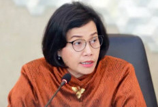 Sri Mulyani Jamin Proyek IKN, Terapkan Skema KPBU Tarik Konsorsium Nusantara