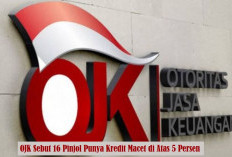 15 Pinjol Punya Kredit Macet di Atas 5 Persen, OJK Beberkan Alasannya!