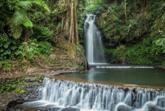 Kuningan, Surga Wisata Alam yang Hanya 30 Menit dari Cirebon, Ini 5 Tempat yang Wajib Dikunjungi!