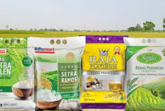 Diduga Beras Premium dari Alfamidi, Wilmar, Japfa dan Raja Platinum Oplosan, Rugi Rakyat Hingga Rp99 Triliun!