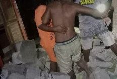 Innalillahi! Gempa M 6,8 Guncang Tanimbar, Bangunan Rumah Roboh