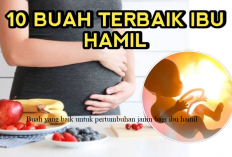 Rekomendasi 10 Buah yang Baik untuk Pertembuhan Janin Bagi Ibu Hamil, Yuk Cobain Bun...