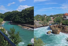 Wisata Viral Jogja! Gasing Wonderland, Destinasi Unik Dekat Malioboro yang Wajib Dikunjungi
