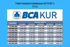 UMKM Merapat! Yuk Ajuin Pinjaman Modal Usaha di KUR BCA, Pinjam 50 Juta Ini Syarat dan Tabel Simulasinya...