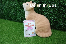 Anabul di Suruh Milih  Sendiri Makanan Malah Minta Royal Canin, Majikan Auto Panik!