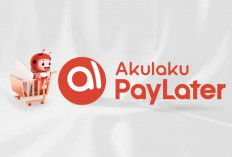 Kapan Pembekuan Paylater Akulaku Dicabut? Begini Kabar Terbaru dari OJK!