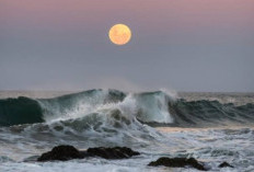 Peringatan BMKG! Fenomena New Moon, Waspada Banjir Melanda 18 Wilayah Indonesia...