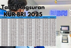 Tabel Angsuran KUR BRI 2025, Cara Hitung Cicilan & Pilih Tenor yang Aman untuk UMKM
