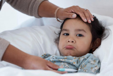 Bunda Jangan Panik, Ini 4 Obat Mengatasi Demam Anak, Yuk Simak di Sini