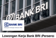 Lowongan Kerja Terbaru Bank BRI, Sedang Buka Penerimaan Untuk Lulusan S1, Fresh Graduate Juga Boleh Daftar Lho