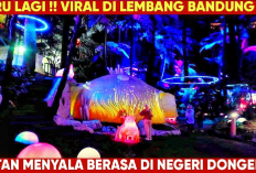 Wajib Banget Untuk Dikunjungi! Hutan Mycelia Tempat Wista yang Menyajikan Sensasi Magis Bak di Negeri Dongeng