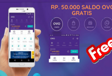 Klaim Saldo OVO Gratis Rp50 Ribu Setiap Hari dari 11 Game Anak-anak yang Bisa dapat Uang, Download Aja Moms!