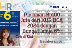 Langkah Cerdas dalam Pengembangan Usaha, Pinjaman Rp100 Juta dari KUR BCA 2024 dengan Bunga Hanya 6 Persen!