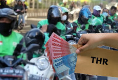 Resmi! Pemerintah Minta THR Ojol Wajib Cash, Begini Respon Gojek, Grab dan Maxim!