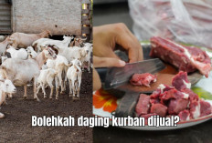 Bolehkah Daging Kurban Idul Adha Dijual? Simak Penjelasannya Menurut Islam di Sini!