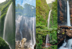 Eksplorasi 4 Air Terjun Paling Cantik di Jawa Timur: Wisata Alam yang Wajib Masuk Bucket List!