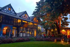 Ini Dia 6 Aktivitas Menarik yang Tersedia di Farmhouse Lembang, Berikut Tarif dan Tipsnya!