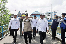 Pj Gubernur Agus Fatoni bersama Mentan RI Tinjau Kegiatan Upsus Optimalisasi Lahan Rawa Tahun 2024 diBanyuasin