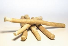 Pencinta Rasul Wajib Tahu! Benarkah Siwak Sunnah yang Banyak Dilupakan? Begini Jawabannya....