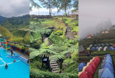 Wisata Alam Hits Jawa Tengah! Guci, Goa Lawa, Bukit Tangkeban di Tegal