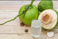 Air Kelapa untuk Asam Lambung, Mitos atau Penolong Alami? Ini Fakta yang Jarang Dibahas