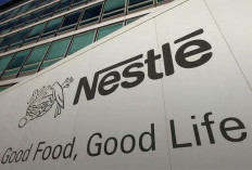 Info Loker, Nestle Open Recruitment untuk Lulusan SMA, Cek Disini Posisi yang Kamu Inginkan, Mari Berkarir!