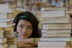 SNBP Tak Lama Lagi, Segera Persiapkan Diri, Ini Jurusan Kuliah yang Perlu Diperhatikan!