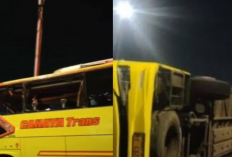 Tragis! Bus Cahya Trans Terguling di Tol Semarang, 16 Penumpang Tewas di Exit Krapyak