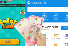 Terbukti Membayar, Cara Praktis Dapat Uang Rp350 Ribu dari Game penghasil saldo DANA 2025, Cobain Sebelum Rame