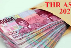 HOREE! THR ASN Cair Maret 2025, Full Tanpa Potongan!