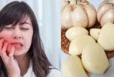 Nggak Perlu Panik! Ini Cara Cepat Atasi Sakit Gigi Berlubang Cuma Pakai 1 Bahan Alami, Nyeri Langsung Reda
