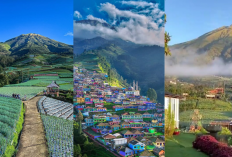 Liburan ke Malang? Jangan Lewatkan 3 Tempat Wisata ini Auto Stres Hilang dan Hari Tenang Loh Gues!