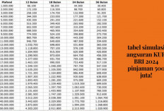 KUR BRI 2024 UMKM Bisa Pinjam 500 Juta! Segini Ternyata Cicilan Perbulan, Perhatikan Tabel dan Syaratnya...