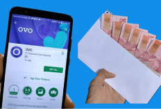 Bukan dari Pemerintah! Inilah 14 Aplikasi Penghasil Saldo OVO Gratis Rp700.000 Tanpa Pakai KTP, Cuan Boss!