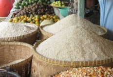 Kaget, Diduga Oplos Beras Premium, 10 Perusahan Besar Ini Dipanggil Oleh Bareskrim