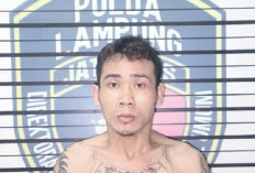 Lagi, Polda Lampung Tangkap Anggota Komplotan Bahroni, Terlibat Bobol Beberapa Dealer Motor 