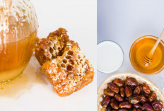 Tubuh Makin Fit Saat Puasa! Ini 6 Manfaat Campuran Kurma dan Madu Bagi Kesehatan, Khasiatnya Bisa Cegah Anemia