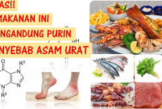 6 Jenis Makanan Ini Pantang Dimakan Bagi Penderita Asam Urat, Apa Saja?