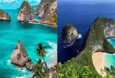 Eksplorasi Keindahan Nusa Penida: Diamond Beach dan Kelingking Beach, Destinasi Favorit Wisatawan!