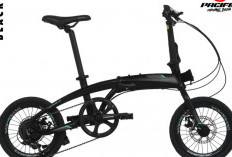 Battle Sepeda Lipat Populer, Element Ecosmo 7 vs Pacific Noris 1.0, Siapa Jawara Ringkas?