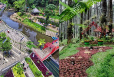 Wisata Anti Mahal di Bandung, 5 Spot Aesthetic Gratis untuk Akhir Tahun, Cocok untuk Konten IG & TikTok