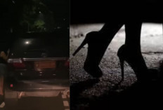 Soal Mobil Dinas Terciduk Hampiri Wanita yang Diduga PSK, Kemhan: Bukan Anggota, Itu Plat Duplikat