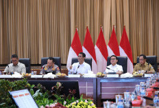 Jangan Coba-Coba Jual Beras di Atas HET, Kementan Gencarkan Operasi Pasar, 41 Sudah Jadi Tersangka! 