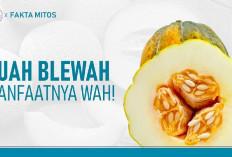Selain Dijadikan Sebagai Menu Berbuka, Ternyata ini 10 Manfaat Buah Blewah Bagi Kesehatan Tubuh, Apa Aja?
