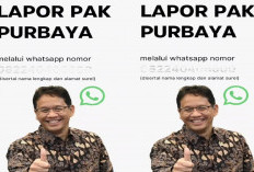 Punya Masalah Pajak atau Bea Cukai? Langsung WA Menkeu! Ini Nomor ‘Lapor Pak Purbaya’!