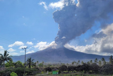 Lewotobi Laki-laki Meletus 31 Kali: Tiga Bandara Lumpuh, Warga NTT Diminta Siaga! 