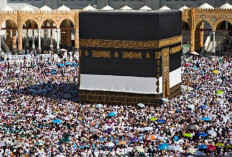 Kuota Haji Indonesia 2026, Gus Irfan Pastikan 92 Persen Reguler, 8 Persen Khusus