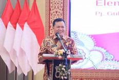 Pj Gubernur Elen Setiadi Perkuat Sinergi Pemprov dan OJK  Jaga Stabilitas Sektor Keuangan di Sumsel-Babel 